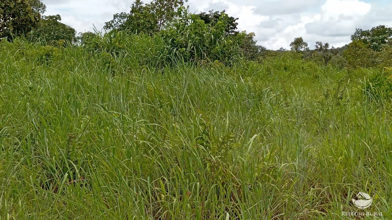 Fazenda à venda de 387 ha em Nova América, GO, Brasil