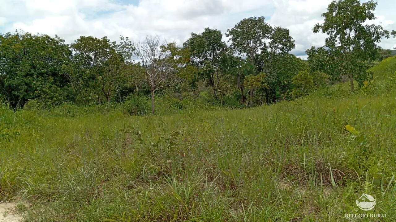 Fazenda à venda de 387 ha em Nova América, GO, Brasil