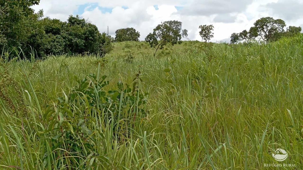 Fazenda à venda de 387 ha em Nova América, GO, Brasil
