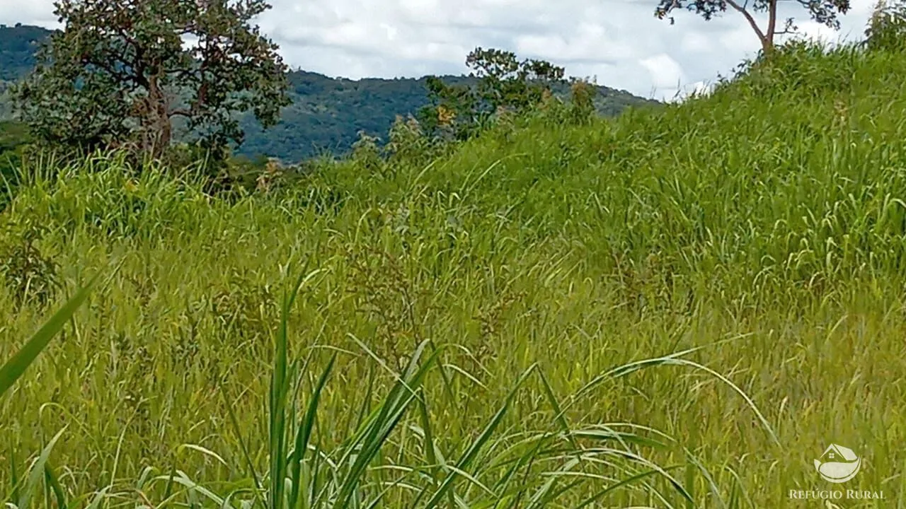 Fazenda à venda de 387 ha em Nova América, GO, Brasil