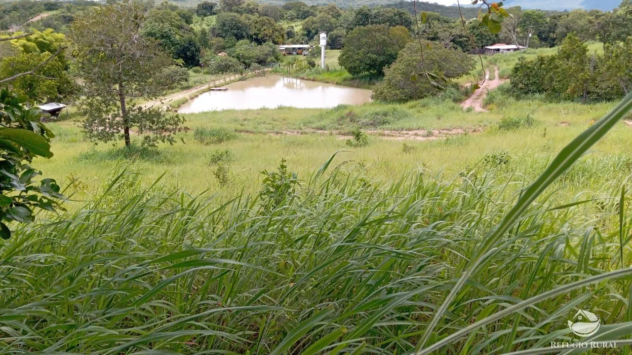 Fazenda à venda de 387 ha em Nova América, GO, Brasil