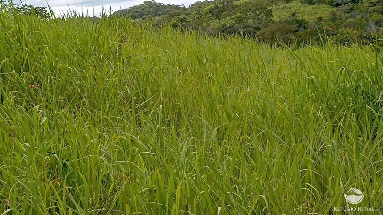 Fazenda à venda de 387 ha em Nova América, GO, Brasil