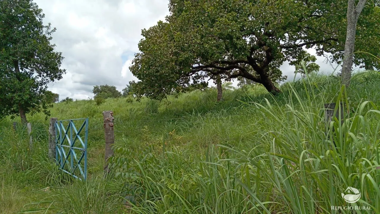 Fazenda à venda de 387 ha em Nova América, GO, Brasil