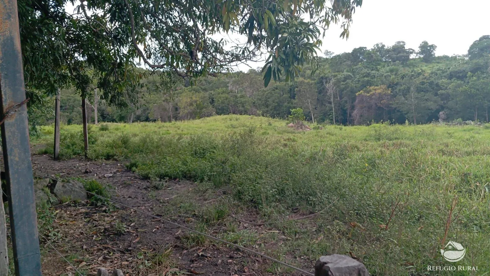 Fazenda à venda de 387 ha em Nova América, GO, Brasil