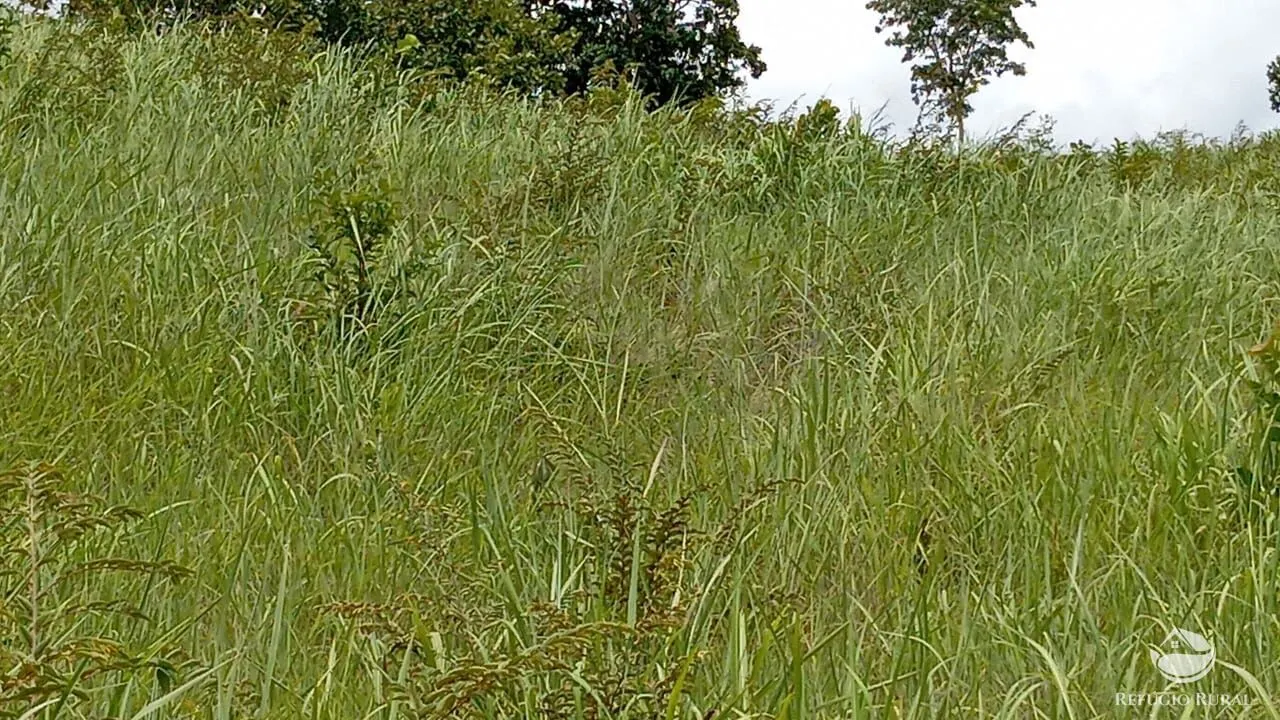 Fazenda à venda de 387 ha em Nova América, GO, Brasil