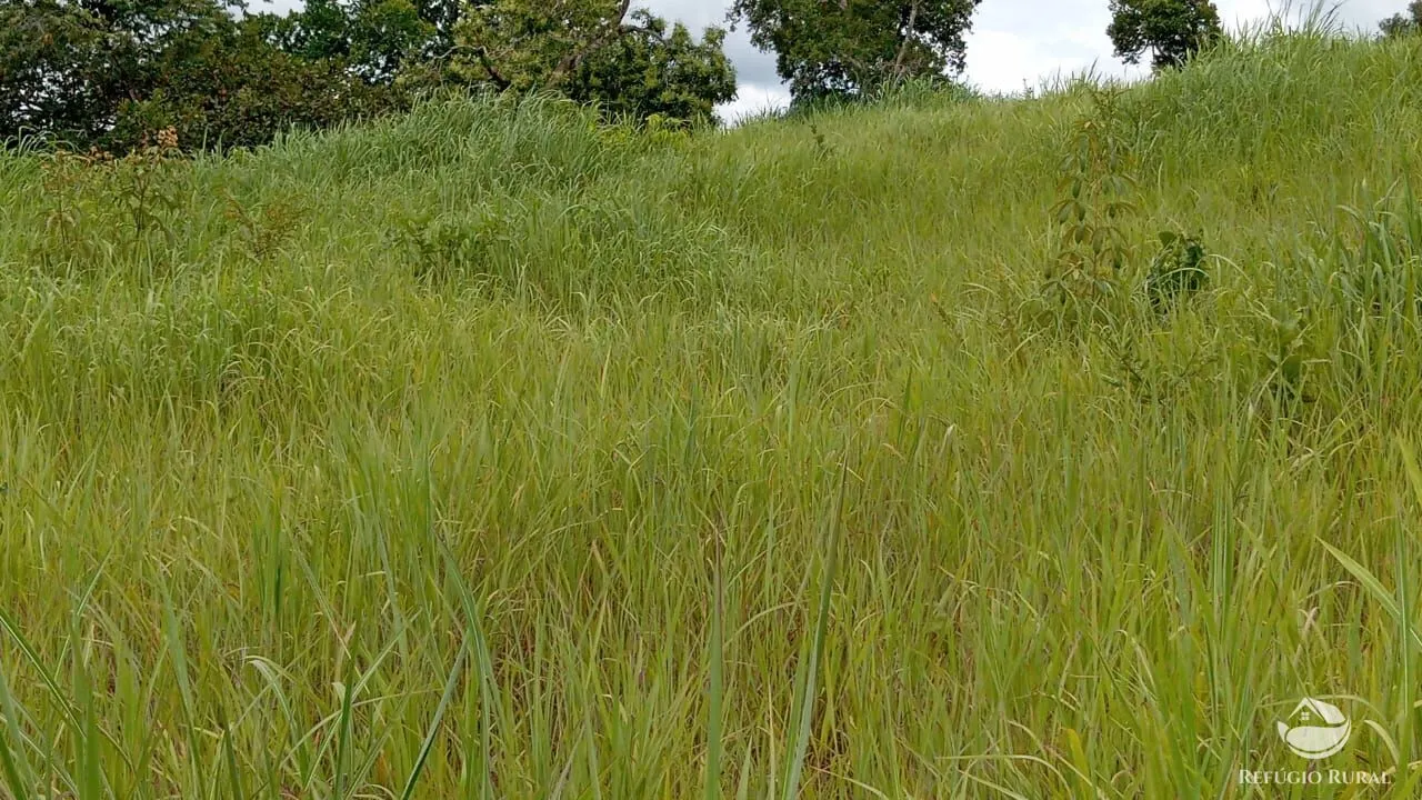 Fazenda à venda de 387 ha em Nova América, GO, Brasil