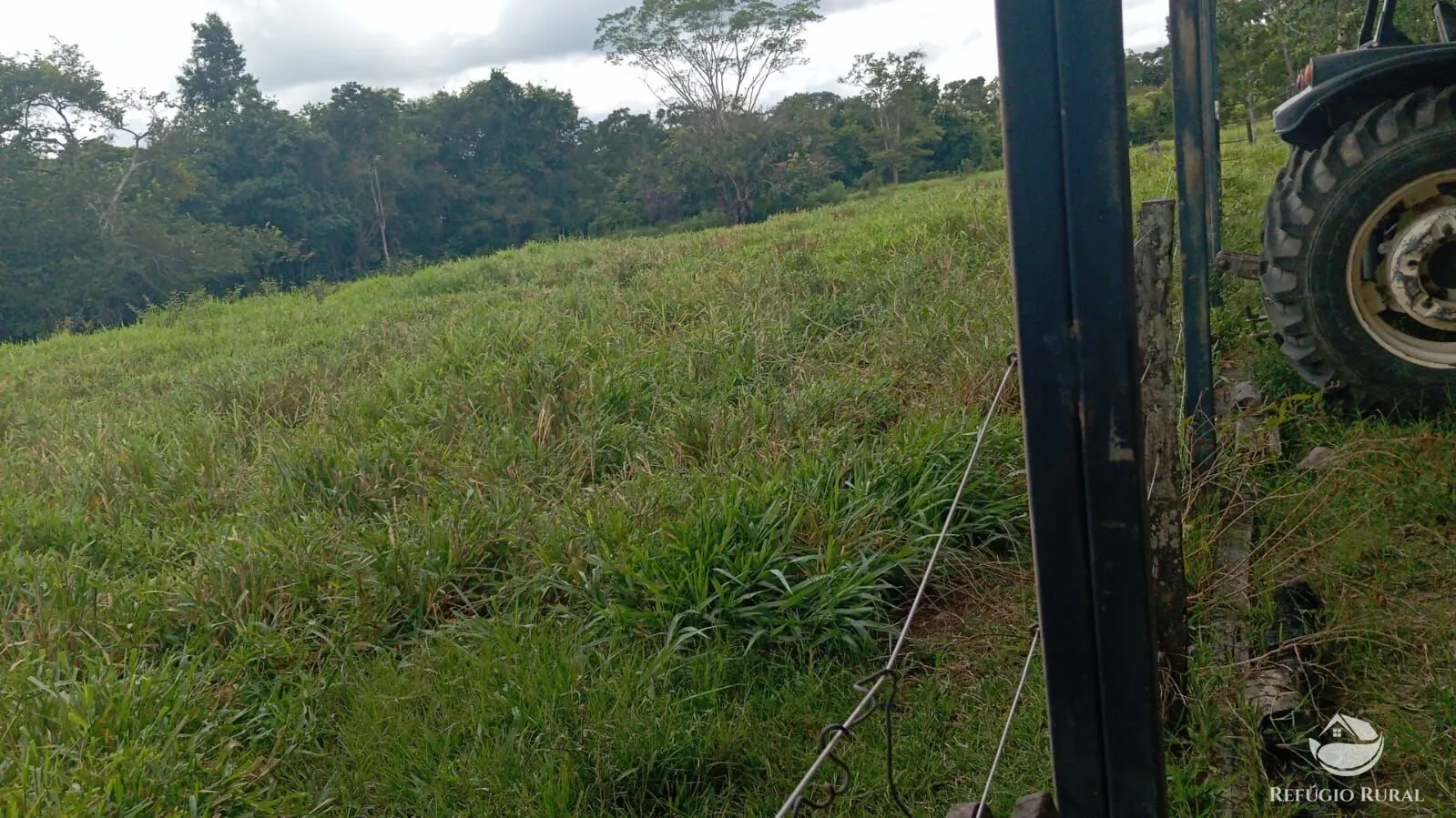 Fazenda à venda de 387 ha em Nova América, GO, Brasil