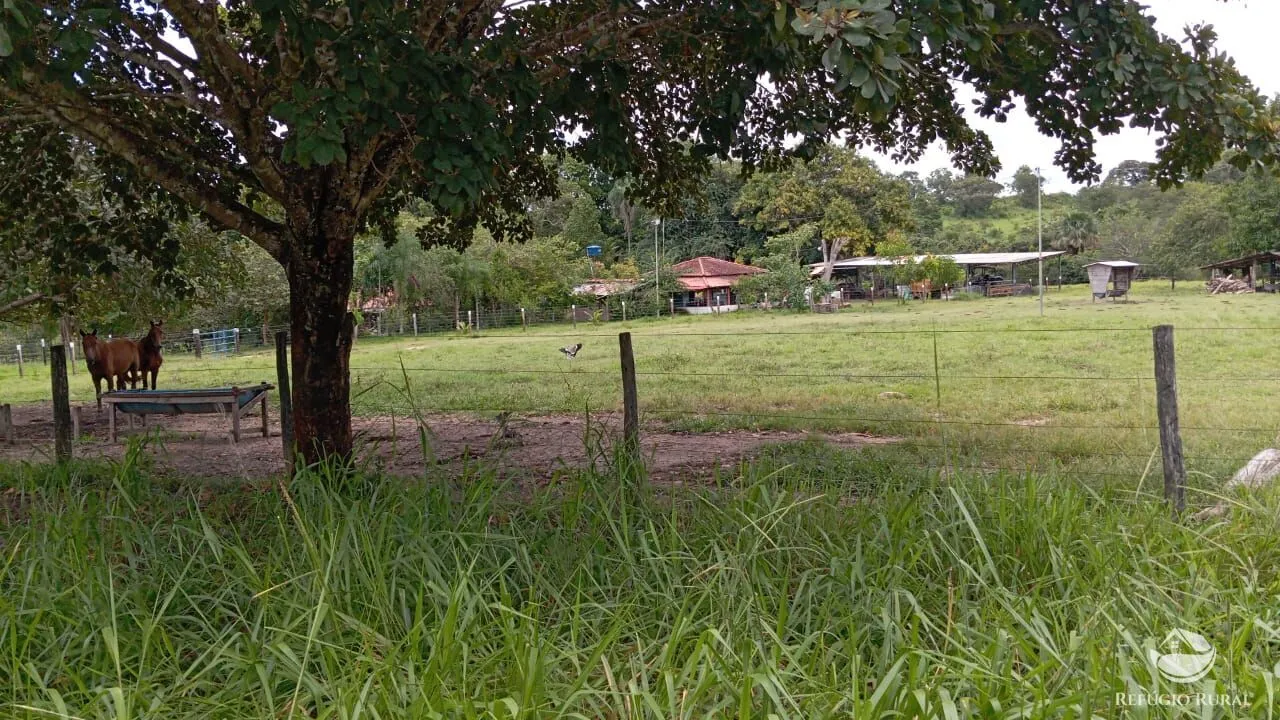 Fazenda à venda de 387 ha em Nova América, GO, Brasil