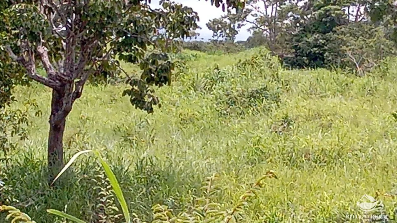 Fazenda à venda de 387 ha em Nova América, GO, Brasil