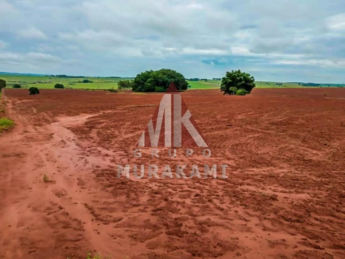 Fazenda à venda de 194 ha em Mirante do Paranapanema, SP, Brasil