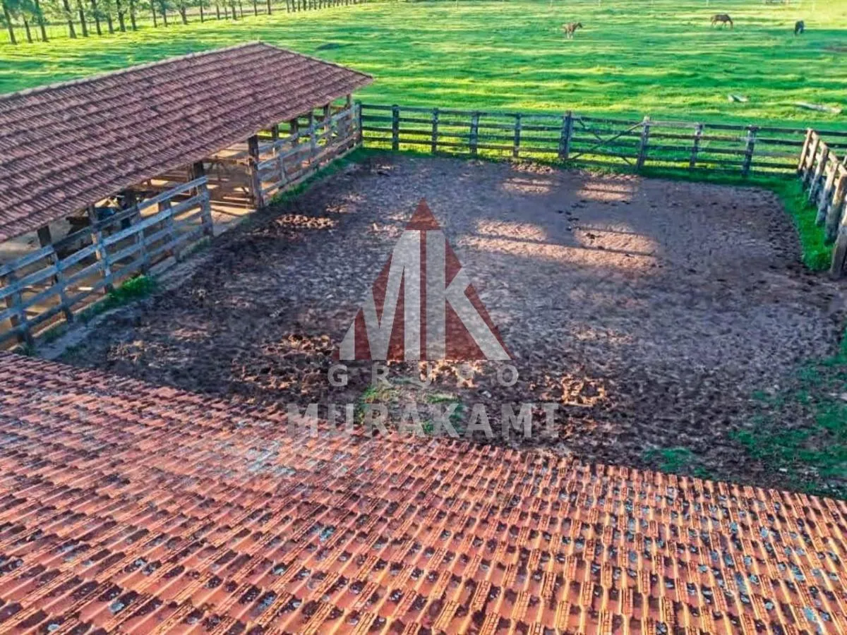 Fazenda à venda de 194 ha em Mirante do Paranapanema, SP, Brasil