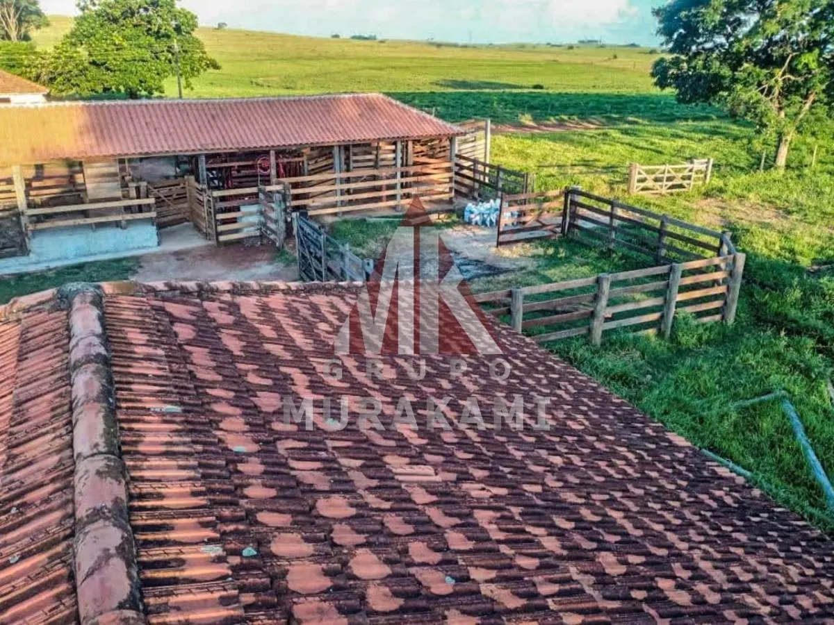Fazenda à venda de 194 ha em Mirante do Paranapanema, SP, Brasil