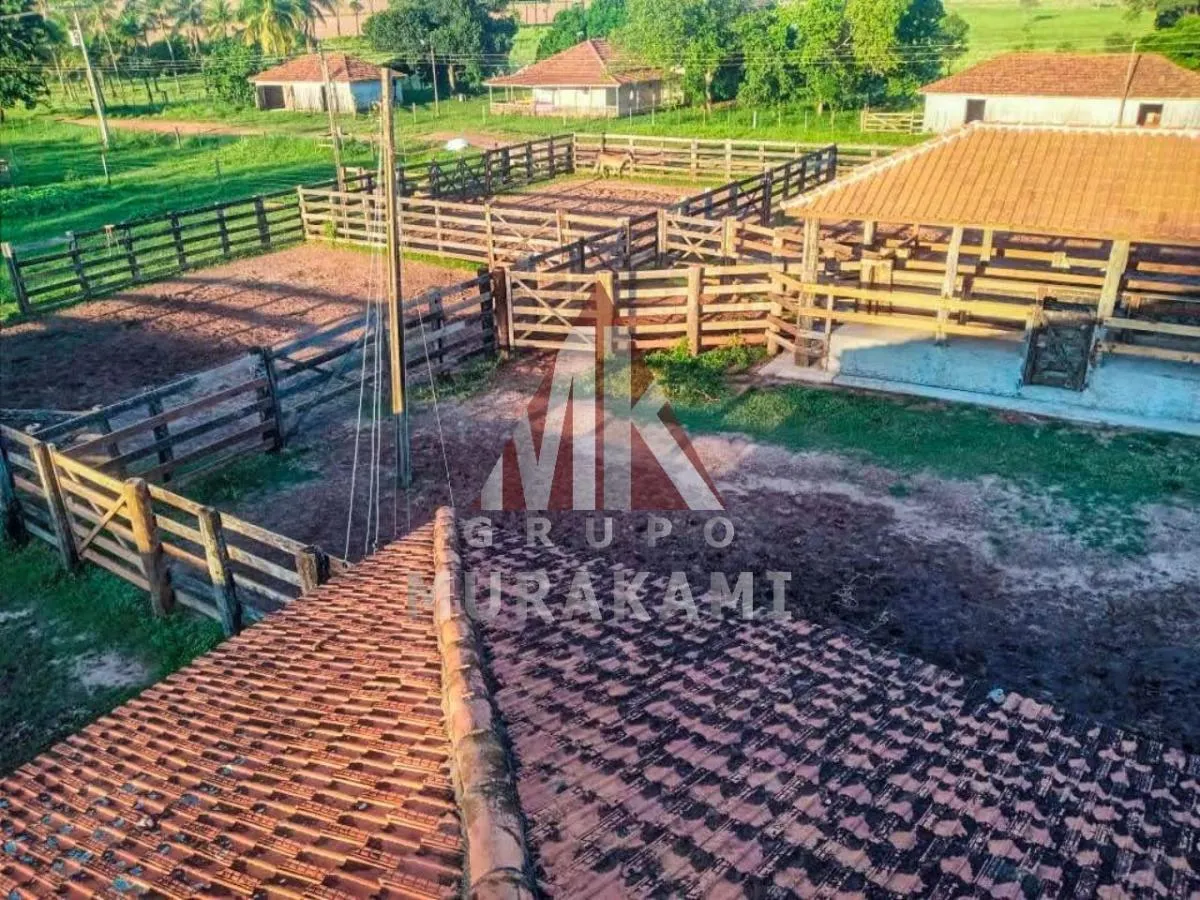Fazenda à venda de 194 ha em Mirante do Paranapanema, SP, Brasil
