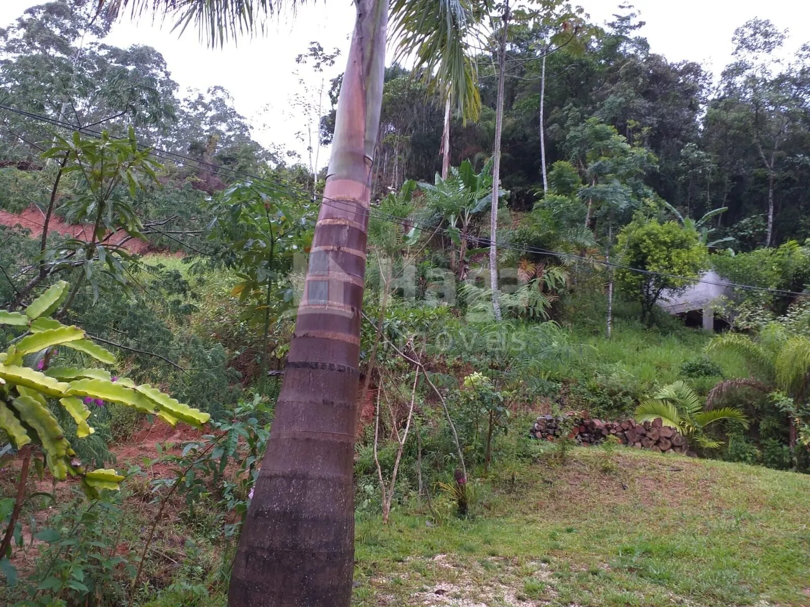Chácara à venda de 5 ha em Brusque, SC, Brasil
