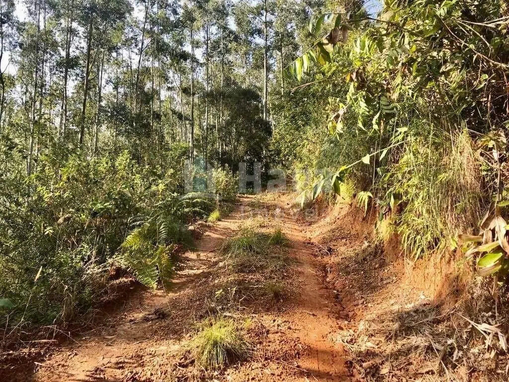 Chácara à venda de 5 ha em Brusque, SC, Brasil