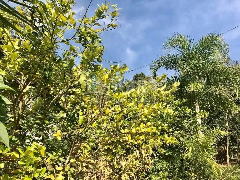 Chácara à venda de 5 ha em Brusque, SC, Brasil
