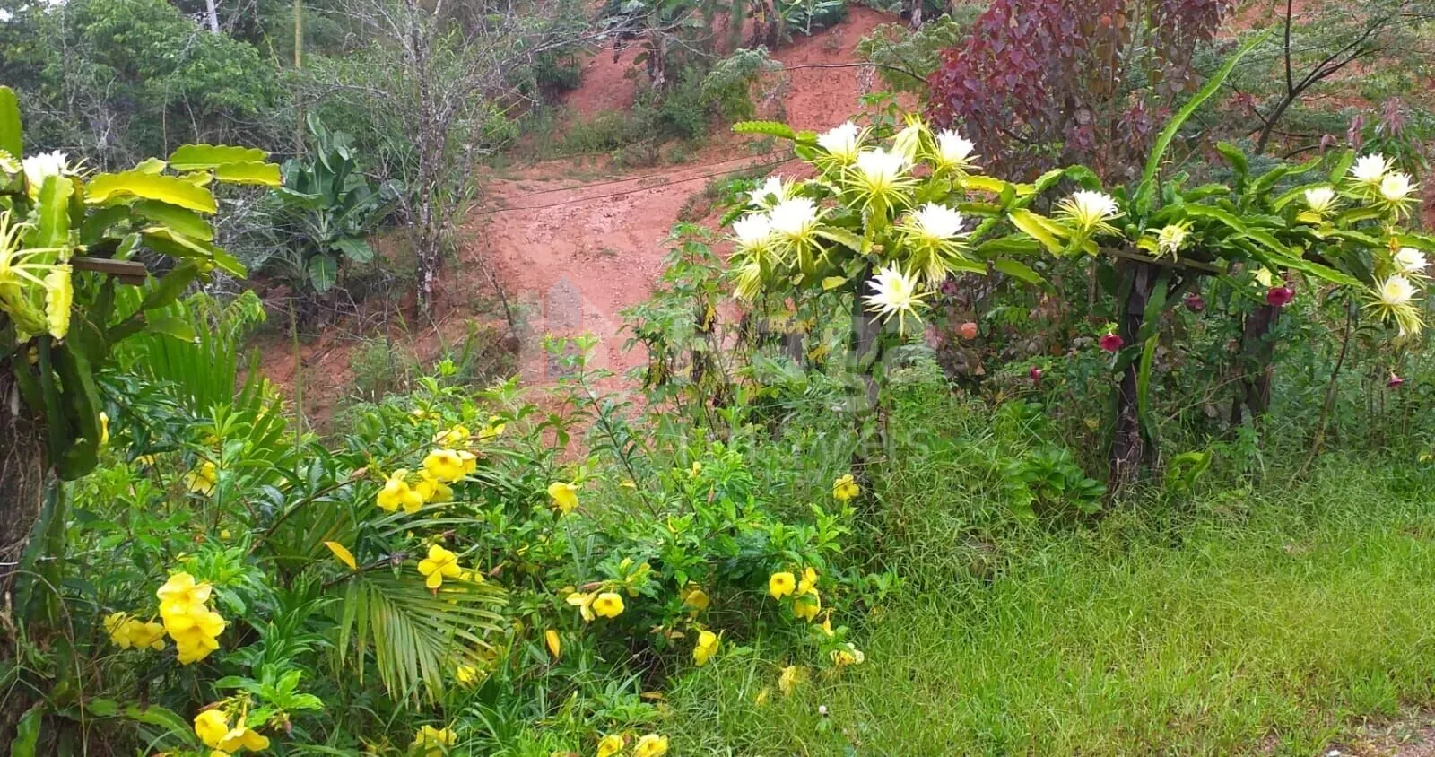 Chácara à venda de 5 ha em Brusque, SC, Brasil