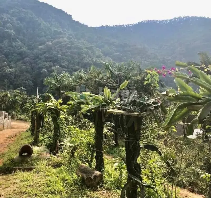Chácara à venda de 5 ha em Brusque, SC, Brasil