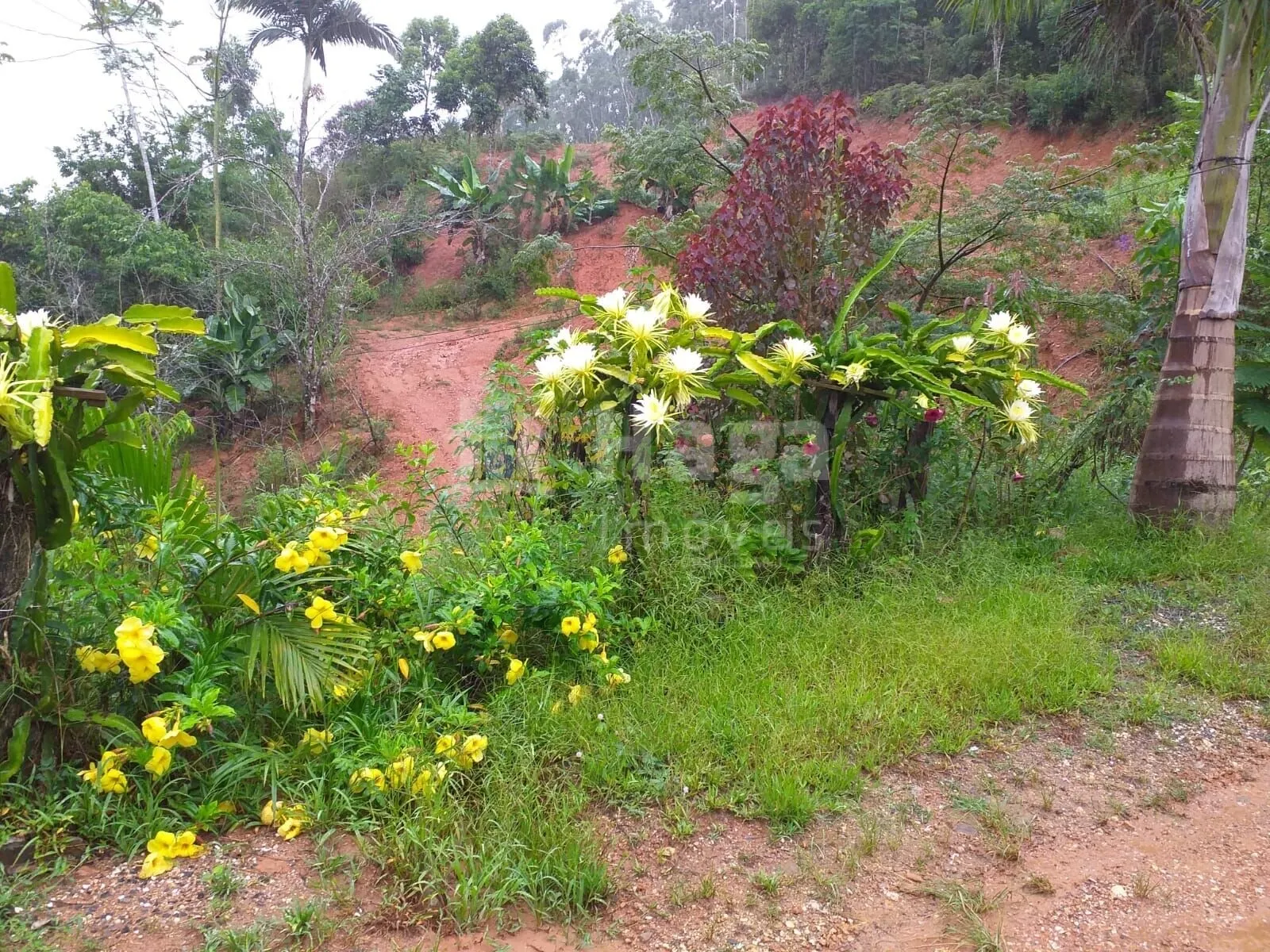 Chácara à venda de 5 ha em Brusque, SC, Brasil