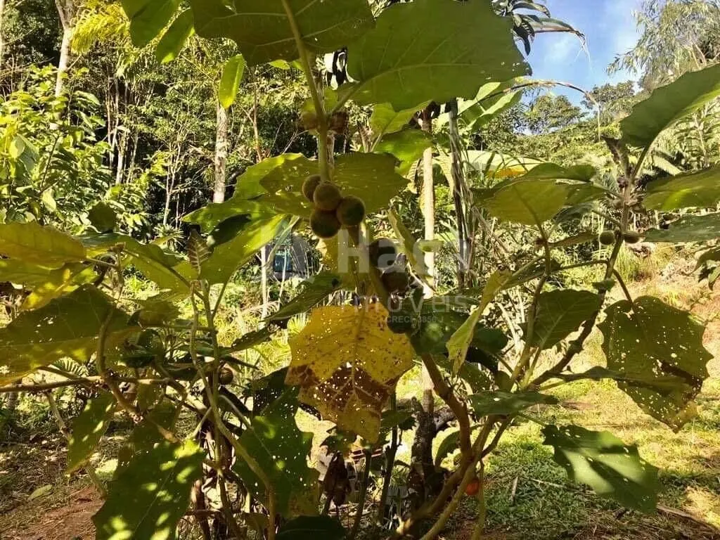 Chácara à venda de 5 ha em Brusque, SC, Brasil