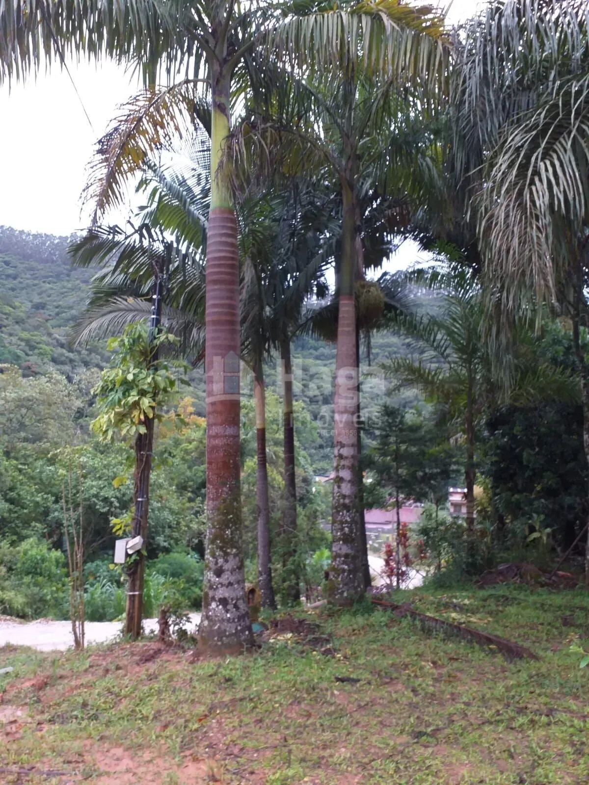 Chácara à venda de 5 ha em Brusque, SC, Brasil