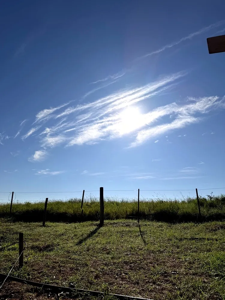 Sítio à venda de 16 ha em Araçatuba, SP, Brasil