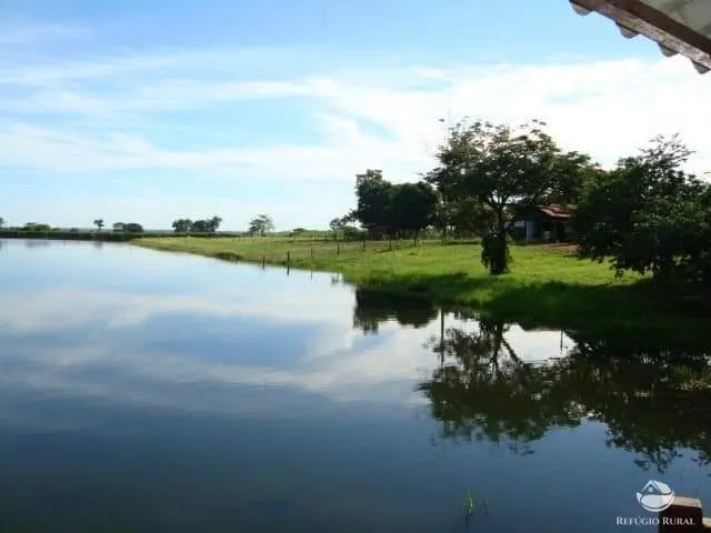 Fazenda à venda de 6.000 ha em Bom Jardim, MA, Brasil