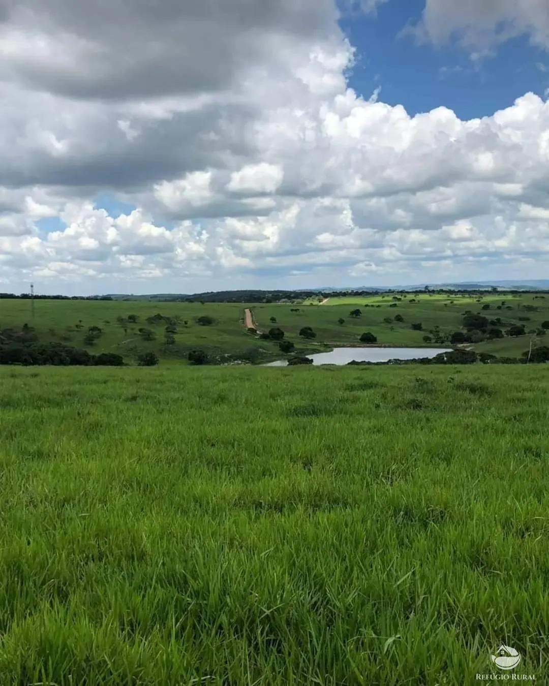 Fazenda à venda de 6.000 ha em Bom Jardim, MA, Brasil