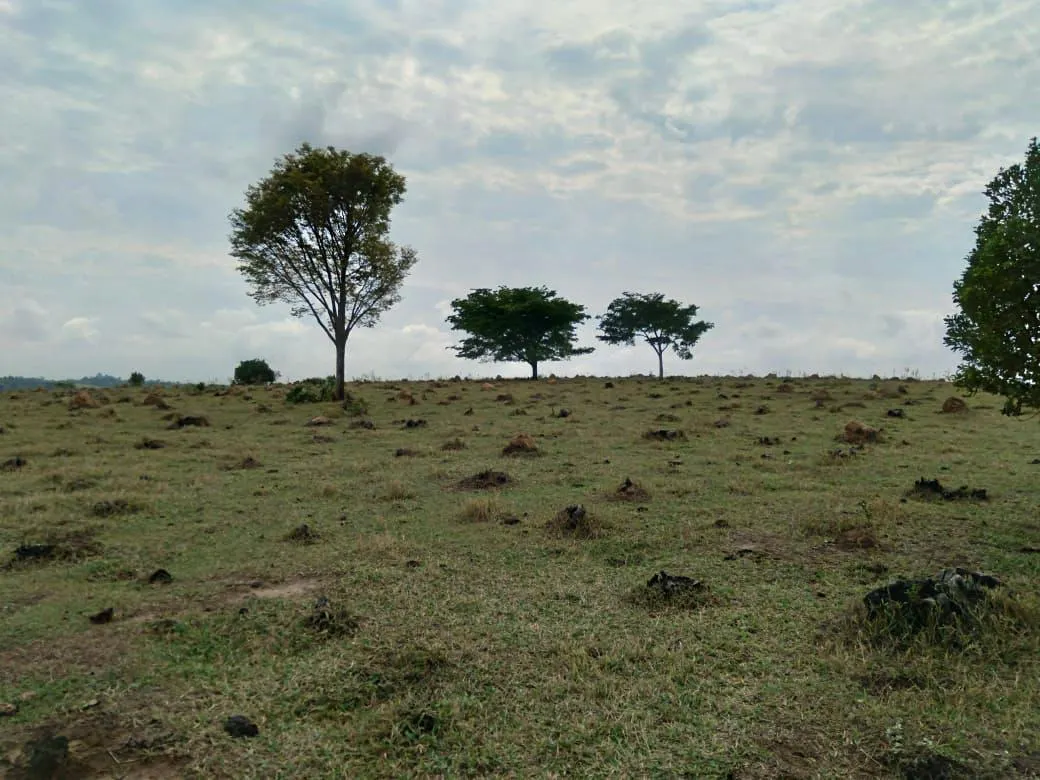Small farm for sale of 82 acres in Itu, SP, Brazil
