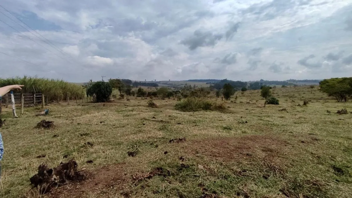 Small farm for sale of 82 acres in Itu, SP, Brazil