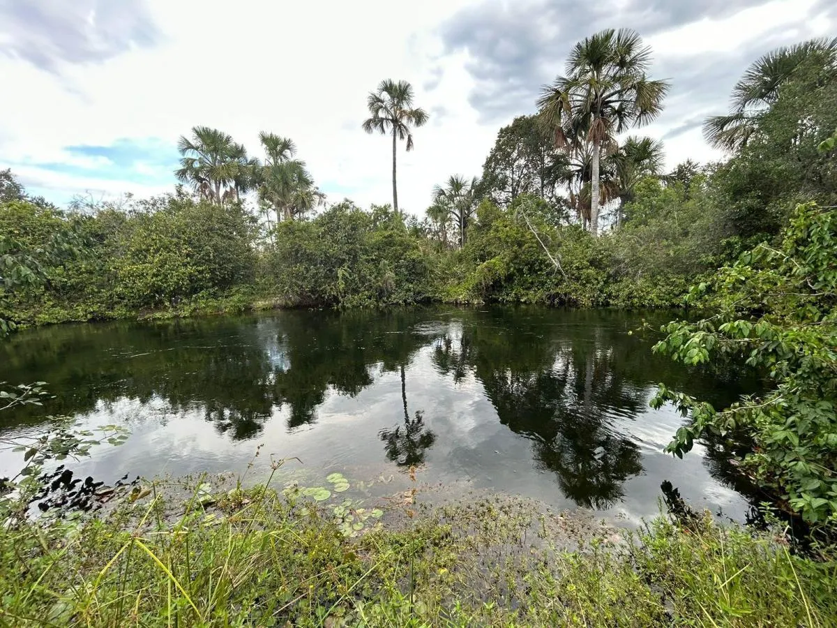 Small farm for sale of 82 acres in Itu, SP, Brazil