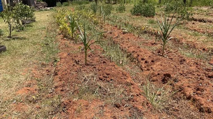 Country home for sale of 2,700 m² in Gravataí, RS, Brazil