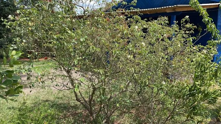 Country home for sale of 2,700 m² in Gravataí, RS, Brazil
