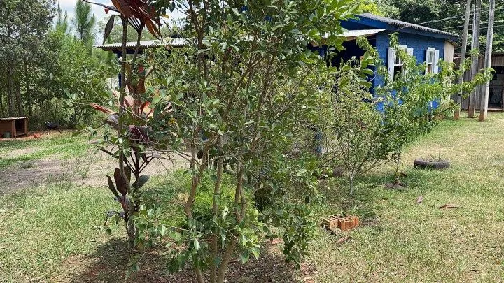 Country home for sale of 2,700 m² in Gravataí, RS, Brazil