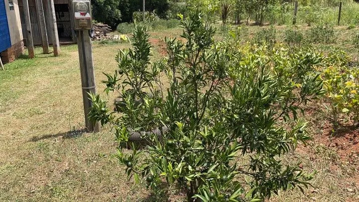 Country home for sale of 2,700 m² in Gravataí, RS, Brazil