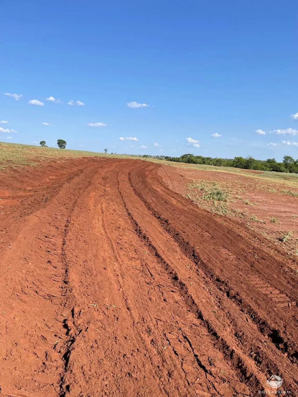 Fazenda à venda de 722 ha em Chapadão do Sul, MS, Brasil