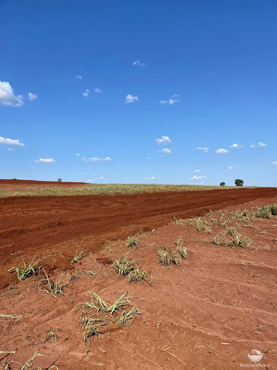 Fazenda à venda de 722 ha em Chapadão do Sul, MS, Brasil