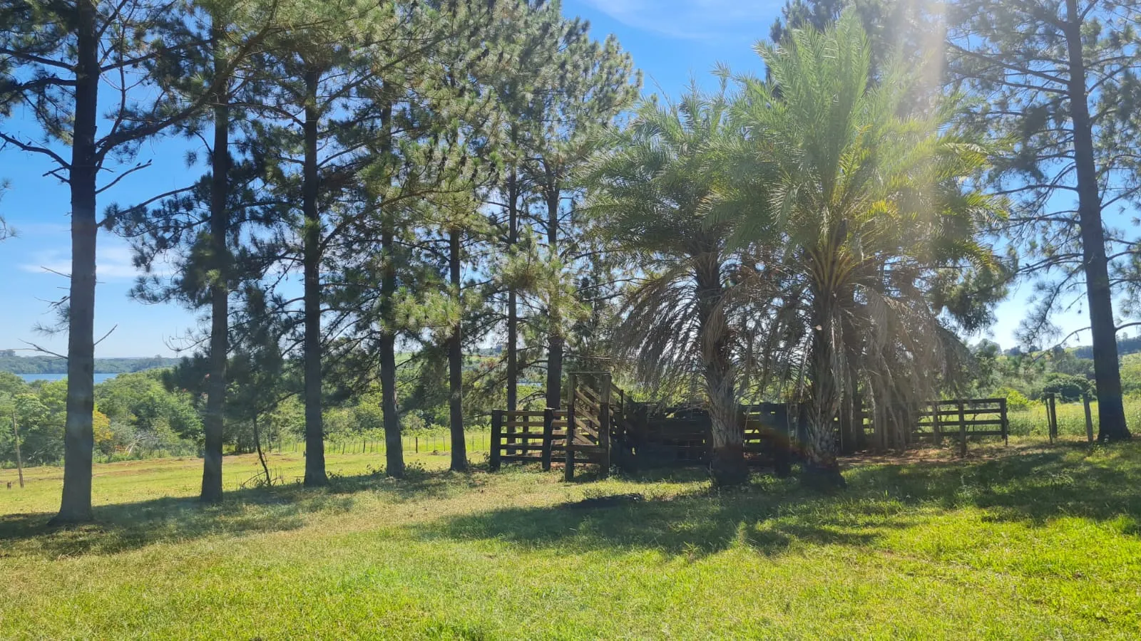 Chácara à venda de 15 ha em Piraju, SP, Brasil