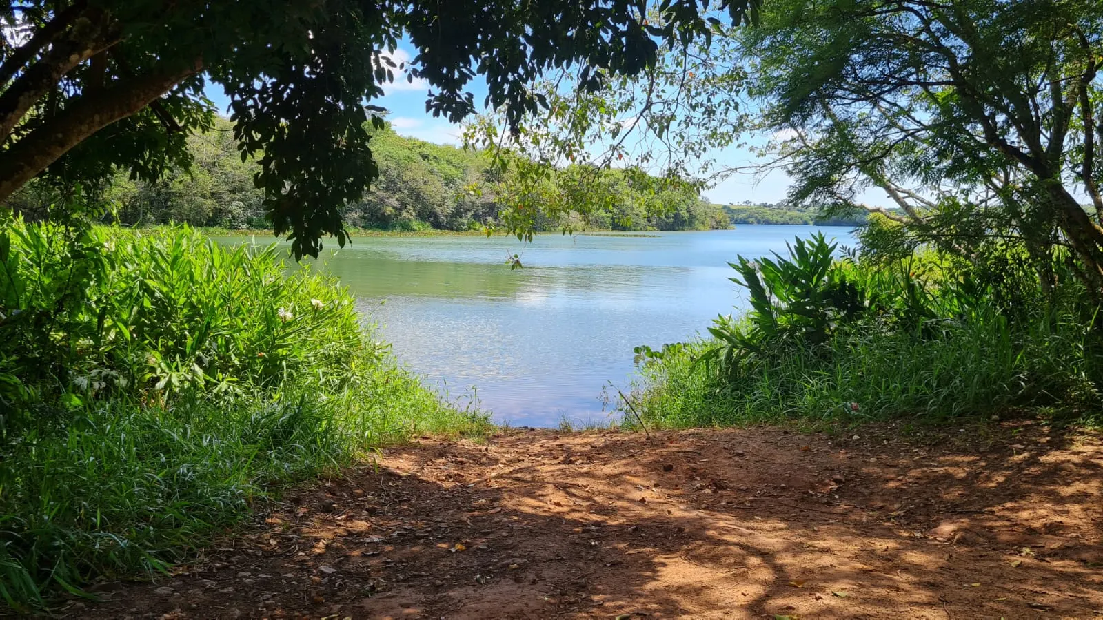 Chácara à venda de 15 ha em Piraju, SP, Brasil