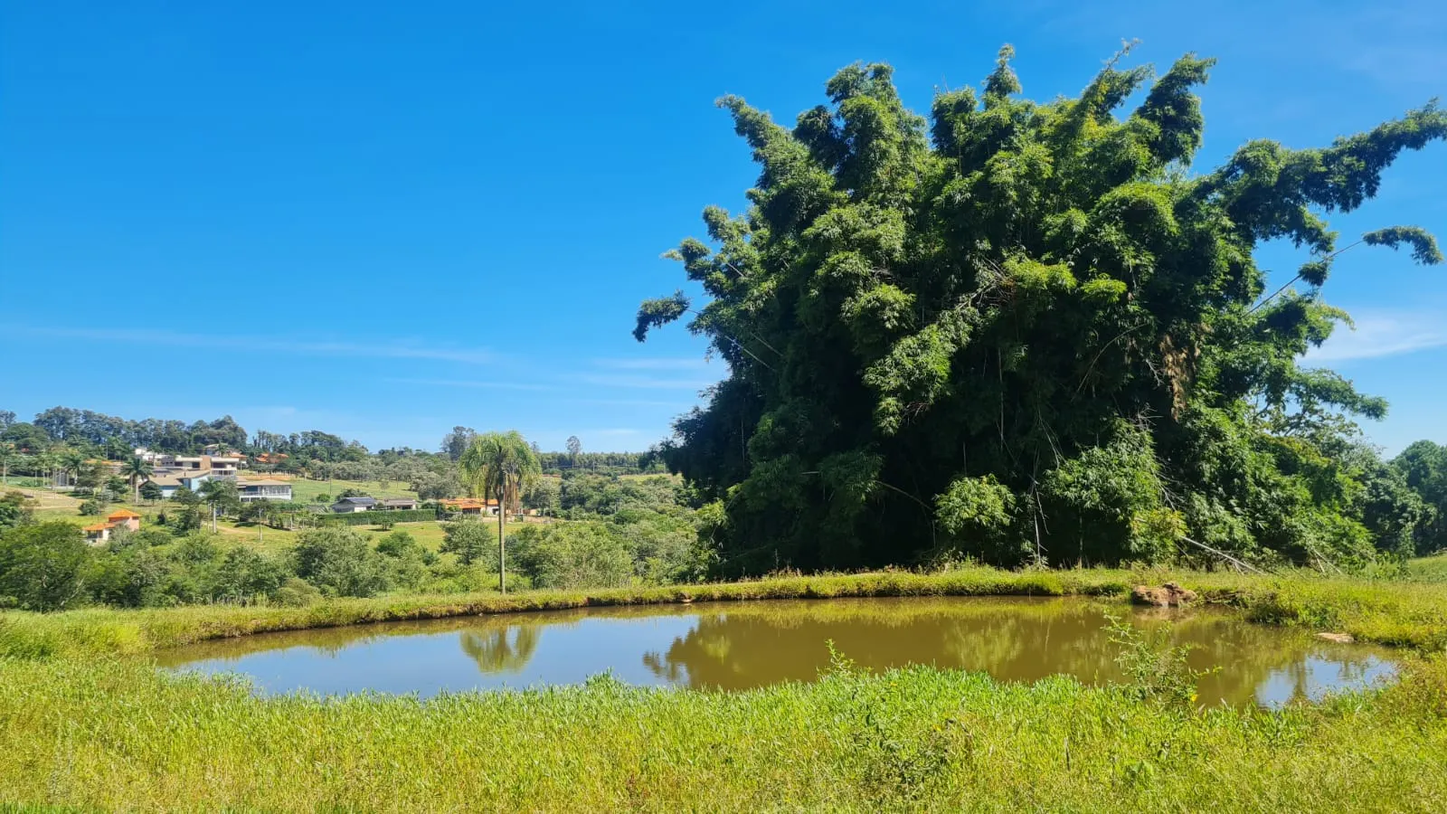 Chácara à venda de 15 ha em Piraju, SP, Brasil