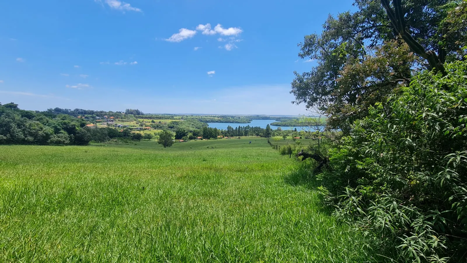 Chácara à venda de 15 ha em Piraju, SP, Brasil
