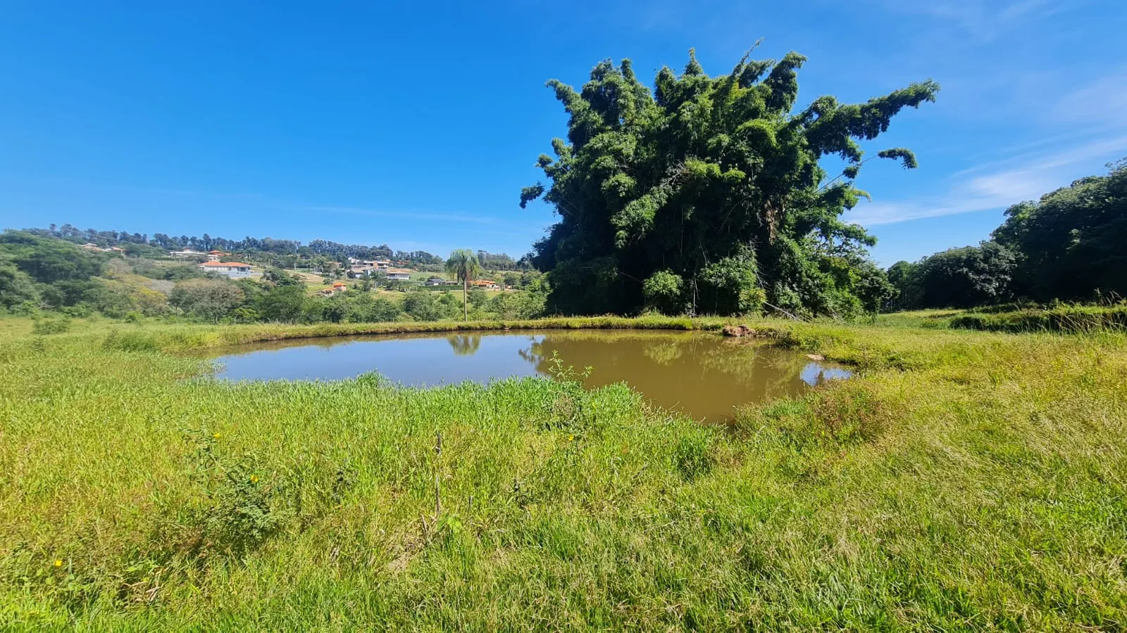 Chácara à venda de 15 ha em Piraju, SP, Brasil
