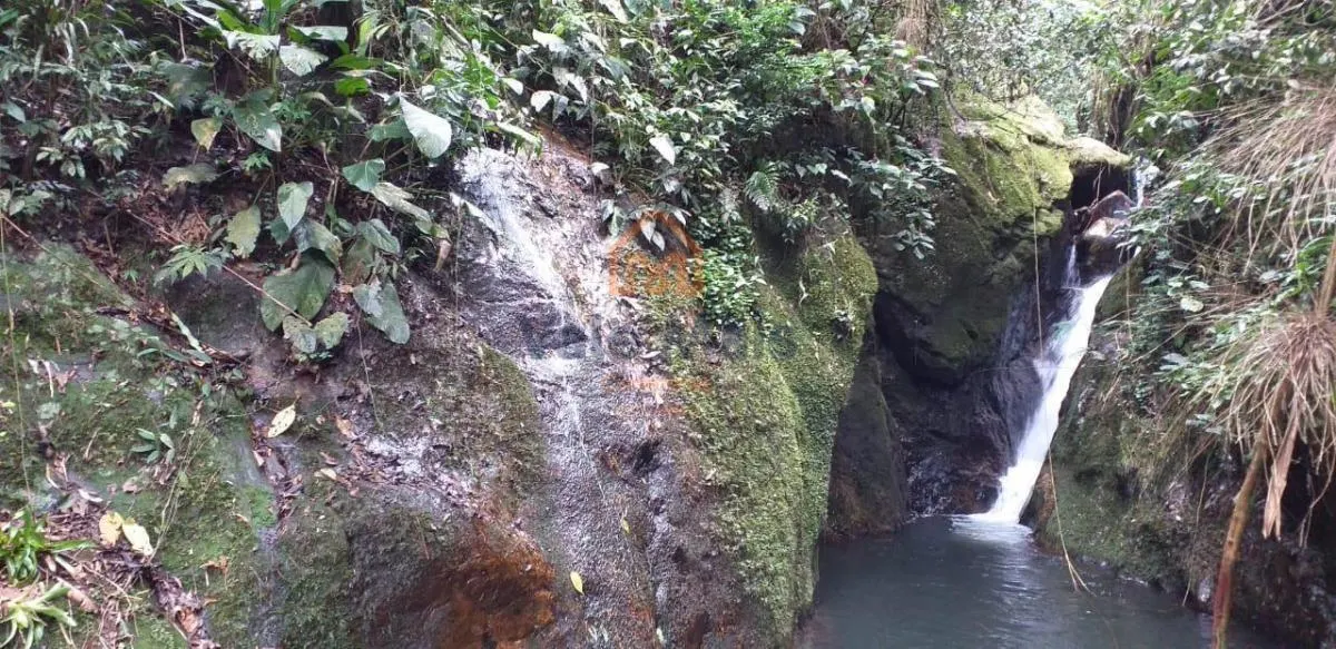 Sítio à venda de 46 ha em Silveiras, SP, Brasil