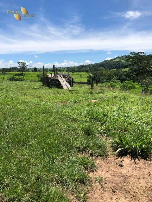 Fazenda à venda de 283 ha em Nova Bandeirantes, MT, Brasil