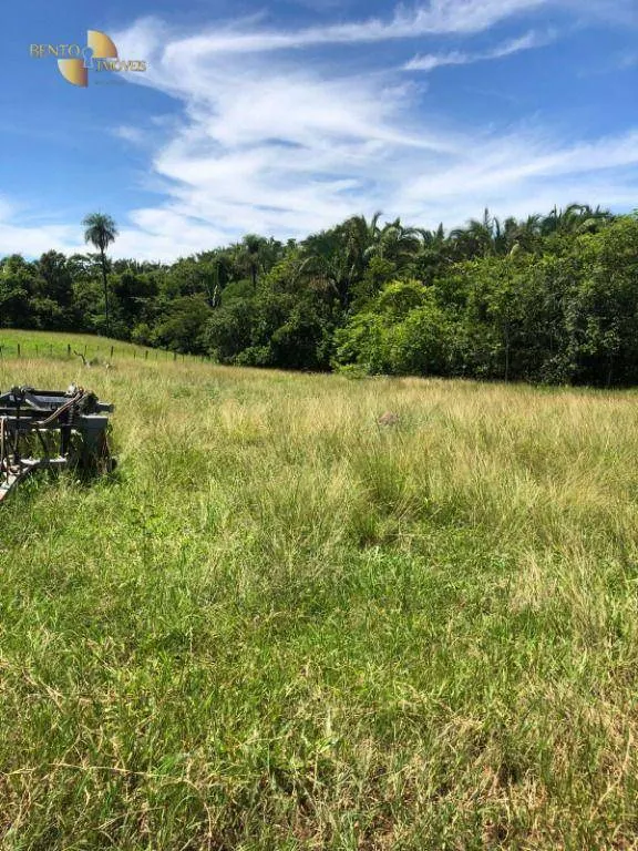 Fazenda à venda de 283 ha em Nova Bandeirantes, MT, Brasil