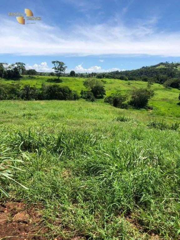 Fazenda à venda de 283 ha em Nova Bandeirantes, MT, Brasil