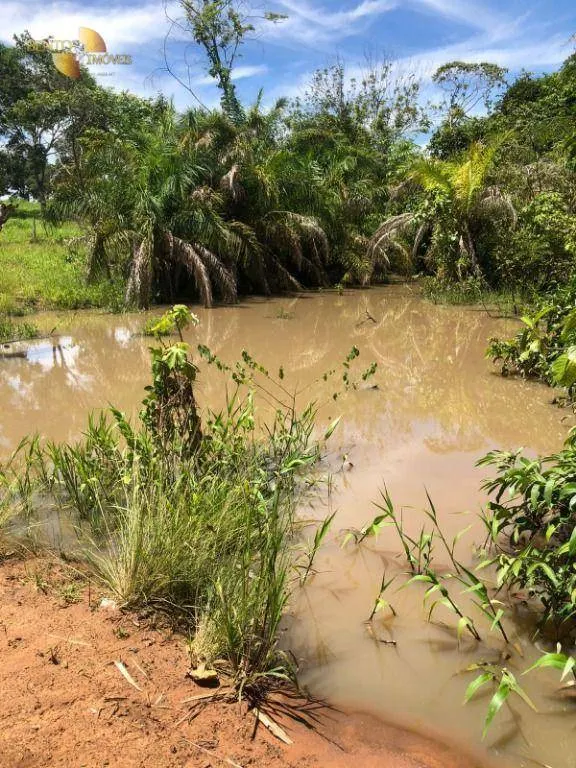Fazenda à venda de 283 ha em Nova Bandeirantes, MT, Brasil