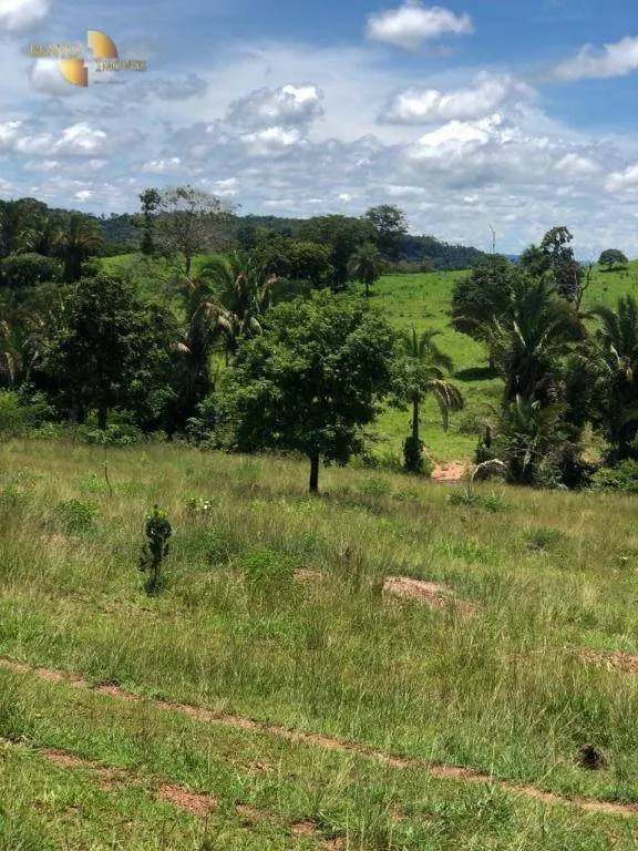 Fazenda à venda de 283 ha em Nova Bandeirantes, MT, Brasil