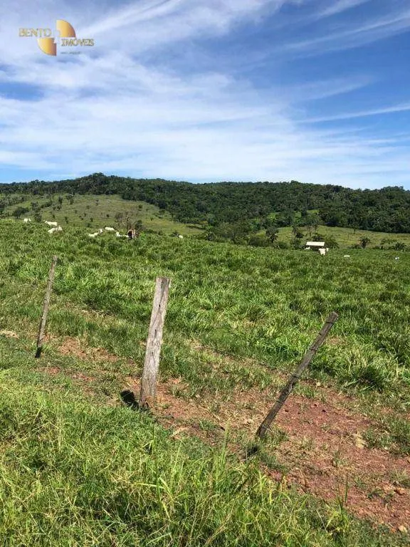 Fazenda à venda de 283 ha em Nova Bandeirantes, MT, Brasil