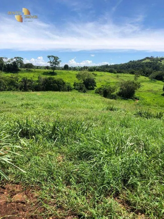 Fazenda à venda de 283 ha em Nova Bandeirantes, MT, Brasil